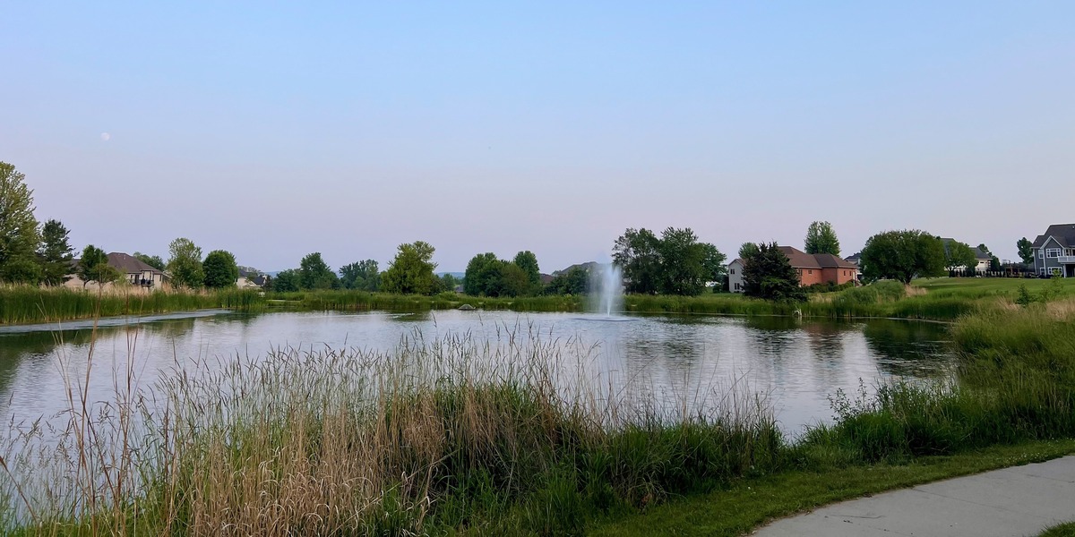 Wedgewood pond pic (1)